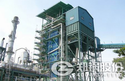 DHX系列循環流化床