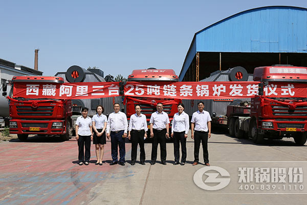 國內新型燃煤鍋爐廠家