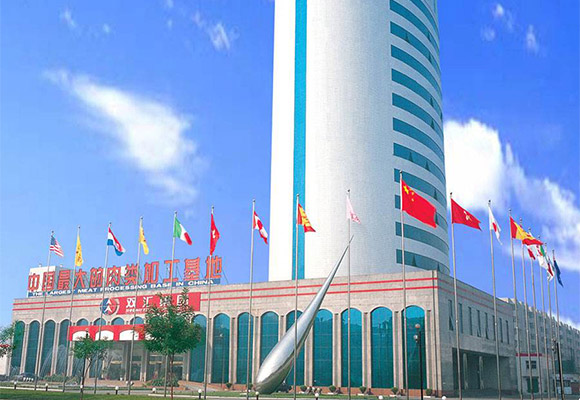 雙匯集團循環流化床鍋爐等項目