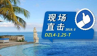 現場直擊丨看生物質鍋爐在巴厘島如何強操作，回頭客非它不選