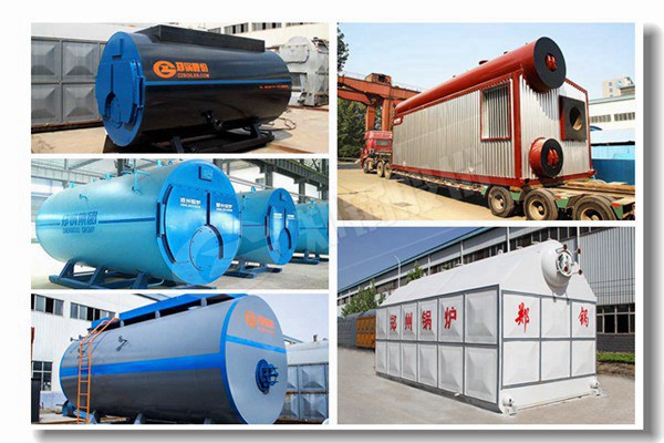 生物質立式兩用蒸汽鍋爐有哪些型號?