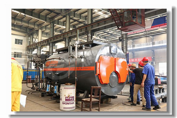 4噸燃生物質顆粒鍋爐有哪些性能參數?