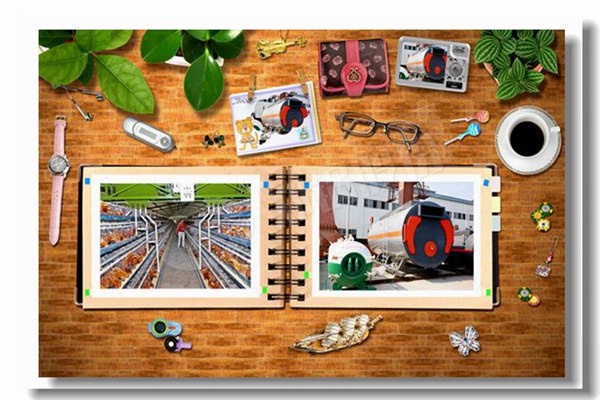 循環(huán)流化床鍋爐床溫該如何進行調(diào)整？