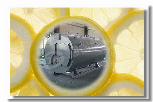 蒸汽鍋爐燒煙煤與無煙煤比較有什么區(qū)別？